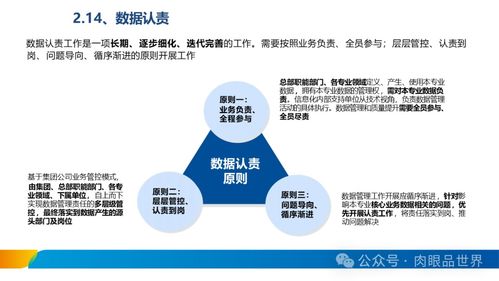 XX集團數(shù)據(jù)治理體系建設(shè)方案——數(shù)據(jù)處理服務(wù)篇